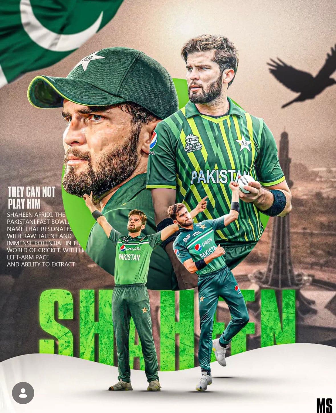 Cricket Matchday Essentials